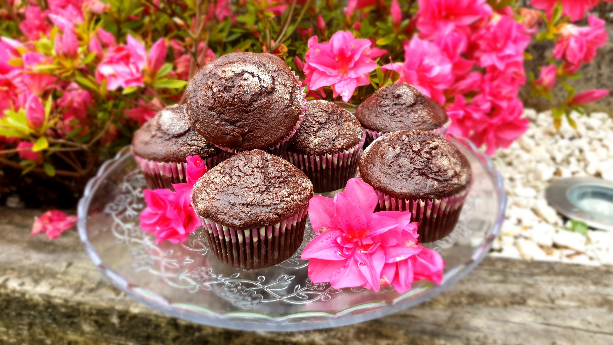 Magdalenas de chocolate y naranja